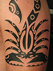 tattoo - gallery1 by Zele - cover up - 2009 05 skorpion 1